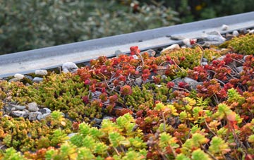 the cost of Rhoscrowther green roof installation