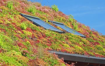 Rhoscrowther living roof systems