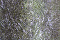 Rhoscrowther fibreglass roof work